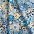 ���̑��̉摜