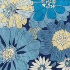 ���̑��̉摜