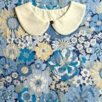 ���̑��̉摜