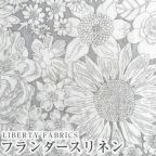 ���̑��̉摜