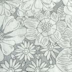 ���̑��̉摜