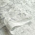 ���̑��̉摜