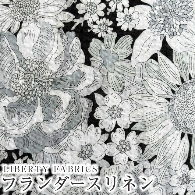 ���̑��̉摜