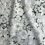 ���̑��̉摜