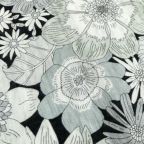 ���̑��̉摜