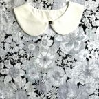 ���̑��̉摜