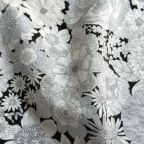 ���̑��̉摜