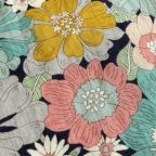 ���̑��̉摜