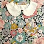 ���̑��̉摜