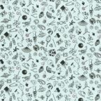 ���̑��̉摜