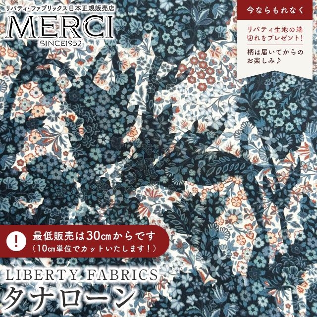 ���̑��̉摜