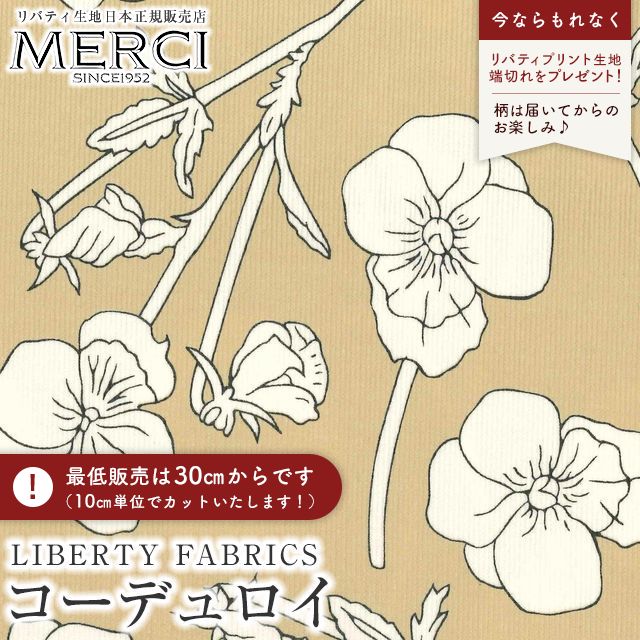 ���̑��̉摜