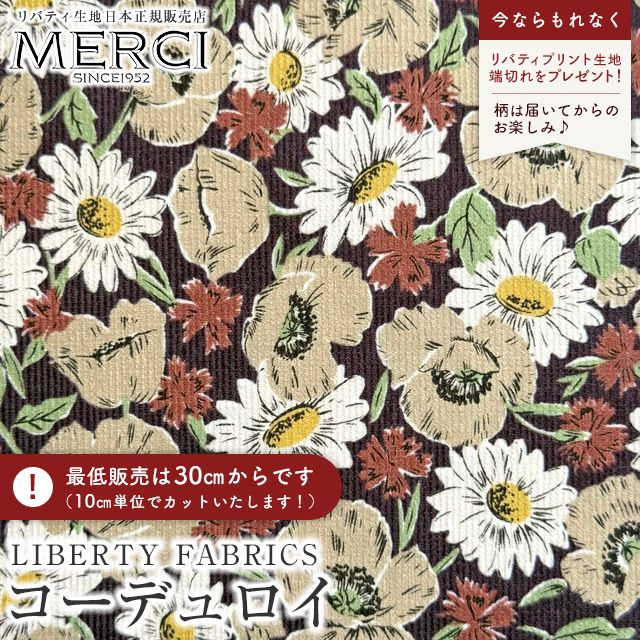 ���̑��̉摜