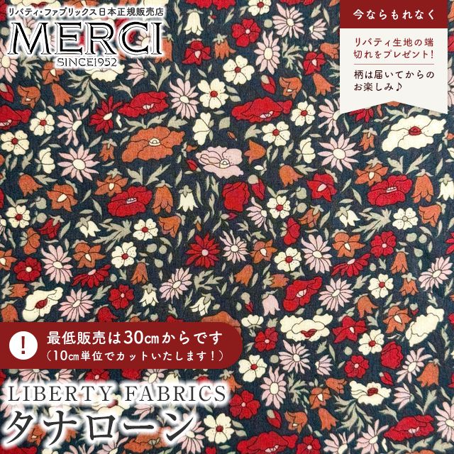 ���̑��̉摜