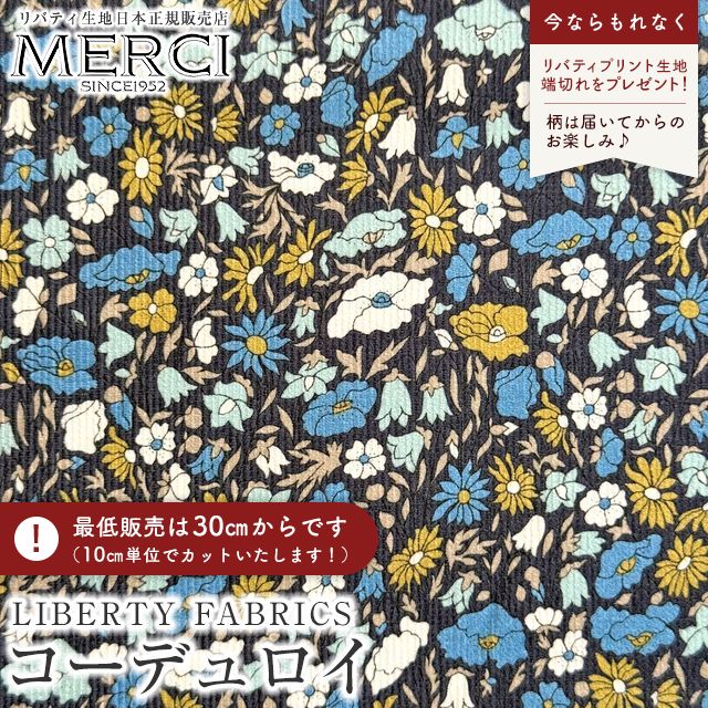 ���̑��̉摜