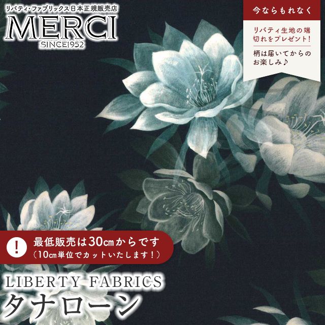 ���̑��̉摜