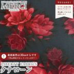 ���̑��̉摜