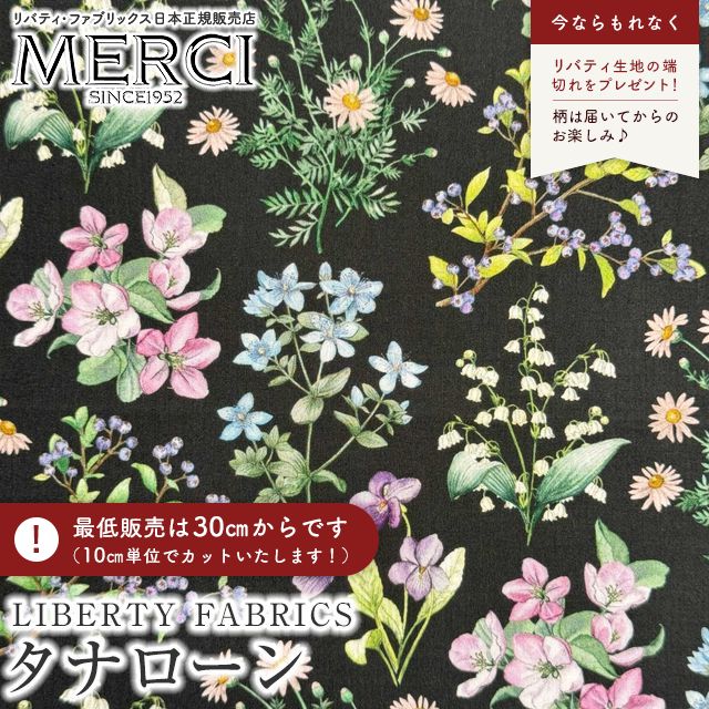 ���̑��̉摜