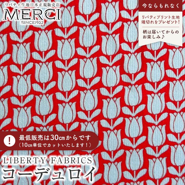 ���̑��̉摜