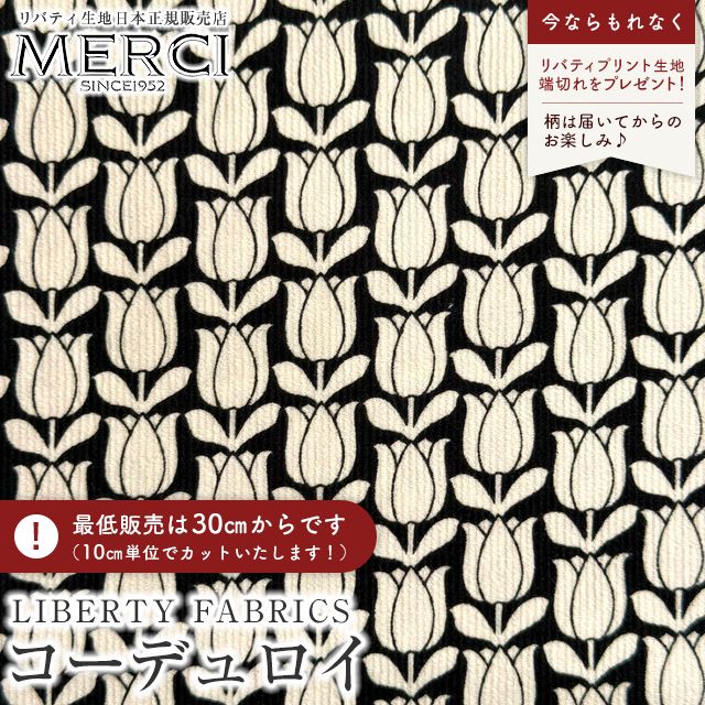 ���̑��̉摜