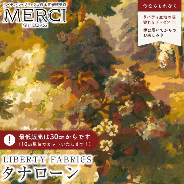 ���̑��̉摜
