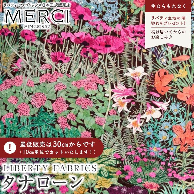 ���̑��̉摜