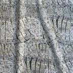 ���̑��̉摜