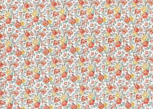 リバティ　タナローン　フェリシテ　2.1