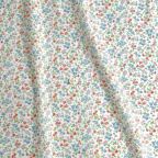 ���̑��̉摜