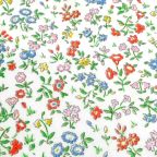 ���̑��̉摜