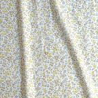 ���̑��̉摜