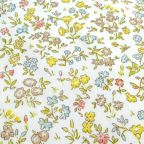 ���̑��̉摜