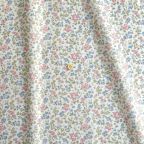 ���̑��̉摜