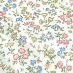 ���̑��̉摜