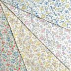 ���̑��̉摜