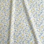 ���̑��̉摜