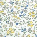 ���̑��̉摜