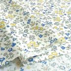 ���̑��̉摜