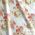 ���̑��̉摜