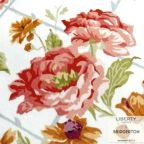 ���̑��̉摜