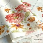 ���̑��̉摜