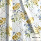 ���̑��̉摜