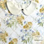 ���̑��̉摜