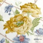 ���̑��̉摜