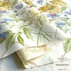 ���̑��̉摜