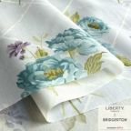 ���̑��̉摜