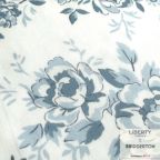 ���̑��̉摜