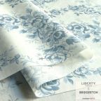 ���̑��̉摜