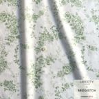 ���̑��̉摜