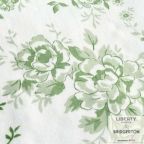 ���̑��̉摜